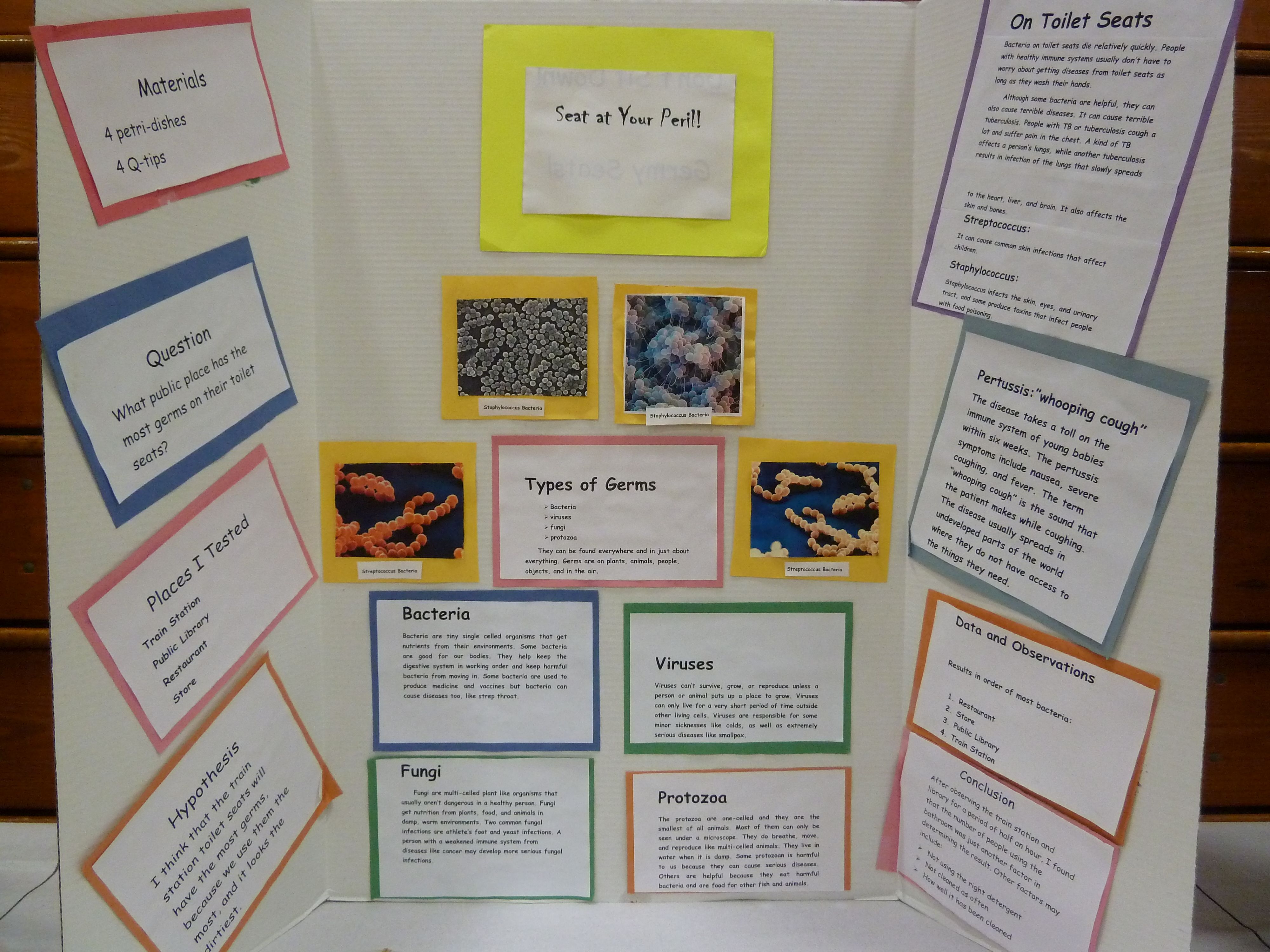 Simple Science Fair Projects For 5th Graders